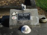 image of grave number 537172